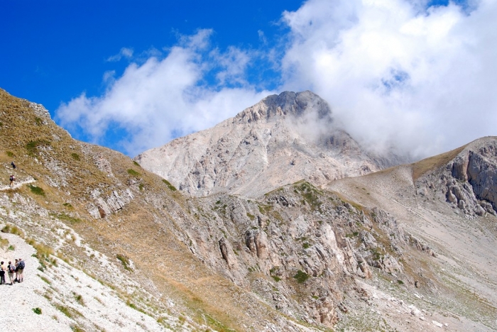 Clicca per vedere l'immagine alla massima grandezza