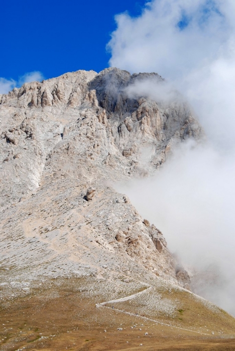 Clicca per vedere l'immagine alla massima grandezza