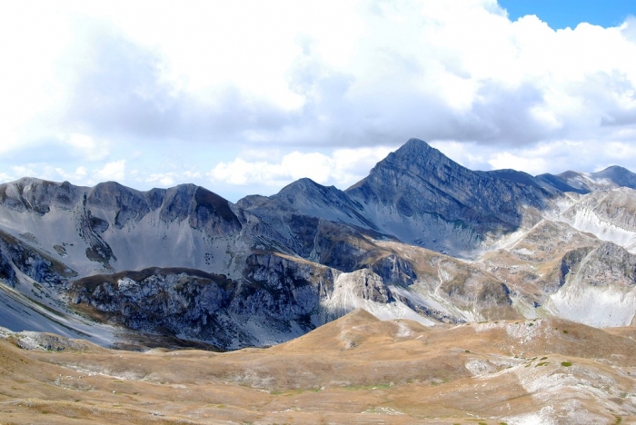 Clicca per vedere l'immagine alla massima grandezza