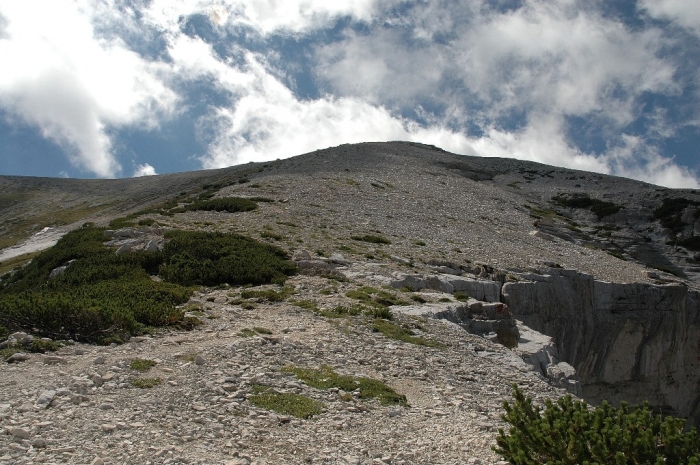 Clicca per vedere l'immagine alla massima grandezza