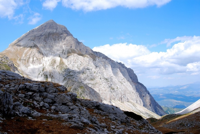 Clicca per vedere l'immagine alla massima grandezza