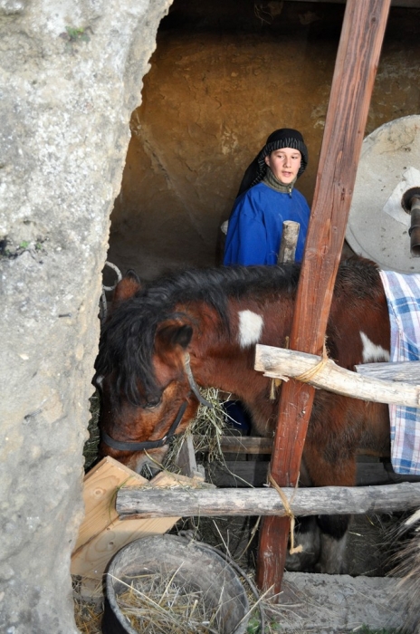 Clicca per vedere l'immagine alla massima grandezza