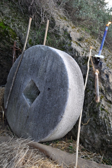 Clicca per vedere l'immagine alla massima grandezza