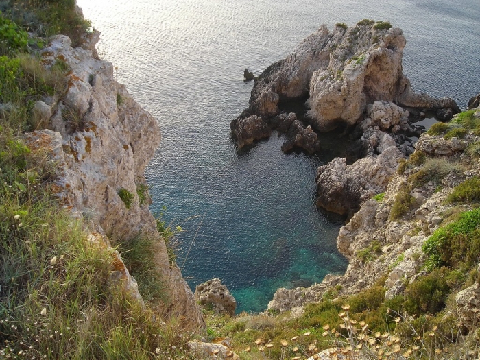 Clicca per vedere l'immagine alla massima grandezza