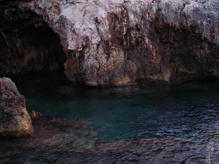 Clicca per vedere l'immagine alla massima grandezza