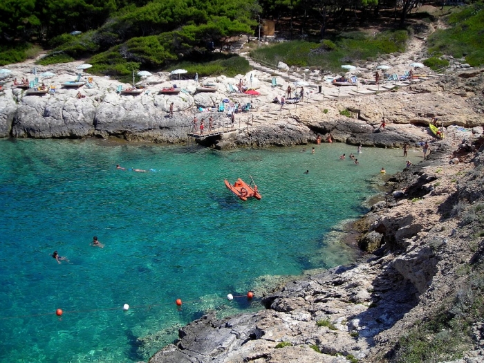 Clicca per vedere l'immagine alla massima grandezza