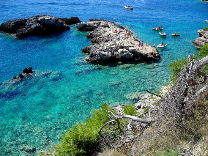 Clicca per vedere l'immagine alla massima grandezza