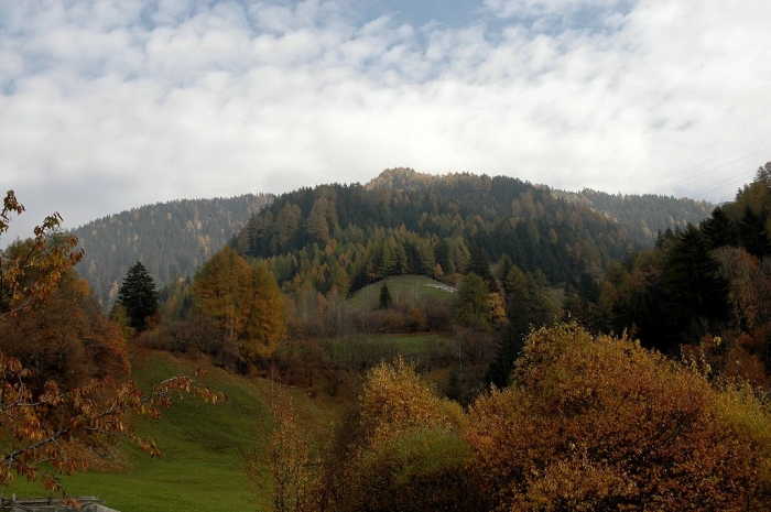 Clicca per vedere l'immagine alla massima grandezza