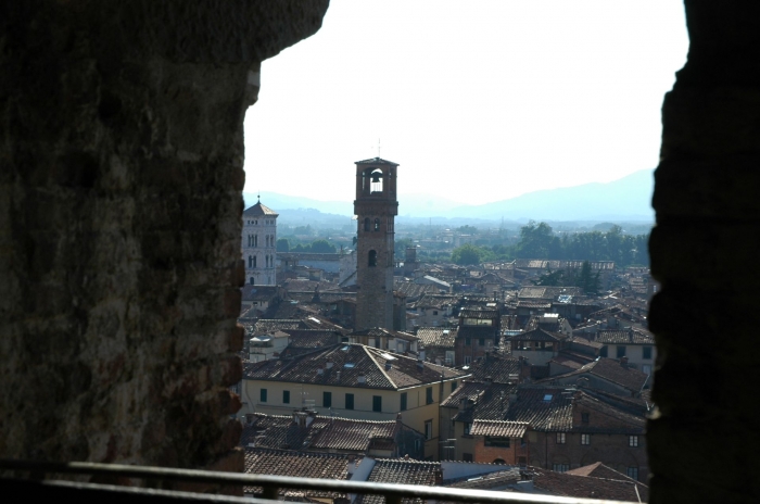 Clicca per vedere l'immagine alla massima grandezza