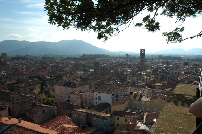 Clicca per vedere l'immagine alla massima grandezza