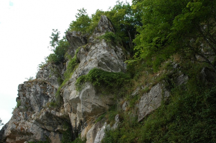 Clicca per vedere l'immagine alla massima grandezza