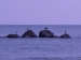 Nome del file=Lo_scoglio_dei_gabbiani.jpg
Dimensione del file=183KiB
Dimensioni=1920x1440
Aggiunta il=08 Set 2009 Lo_scoglio_dei_gabbiani.jpg