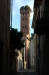Torre_alberata-_Guinigi.jpg