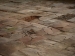 Nome del file=pavimentazione_del_refettorio.jpg
Dimensione del file=395KiB
Dimensioni=1920x1440
Aggiunta il=27 Set 2009 pavimentazione_del_refettorio.jpg