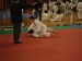 JUDO-CUS-25_MARZO_2012_048.jpg