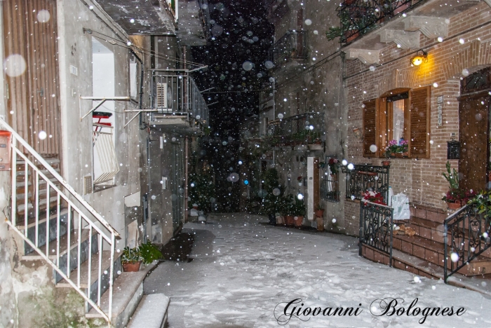 Clicca per vedere l'immagine alla massima grandezza