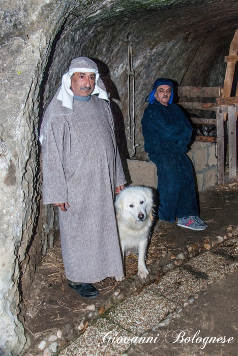 Clicca per vedere l'immagine alla massima grandezza