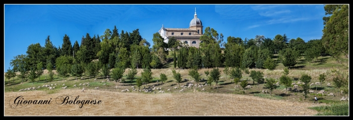 Clicca per vedere l'immagine alla massima grandezza