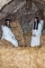 Nome del file=DSC_0087_a~0.jpg
Dimensione del file=858KiB
Dimensioni=1272x1900
Aggiunta il=03 Gen 2016 DSC_0087_a~0.jpg