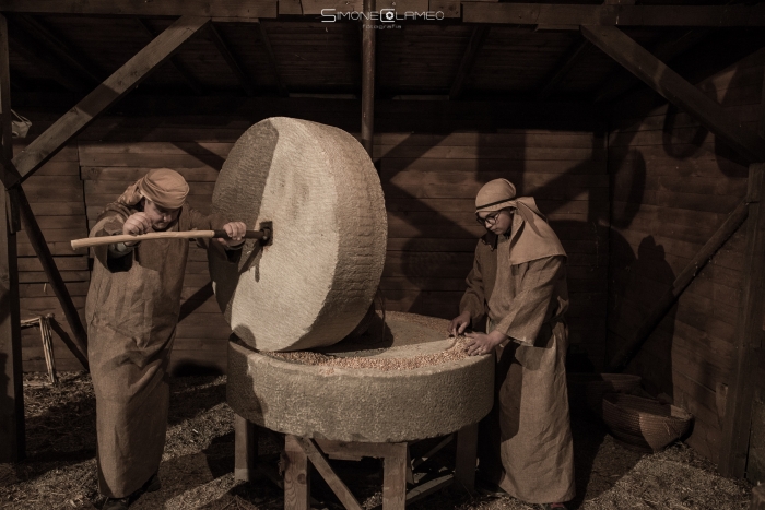 Clicca per vedere l'immagine alla massima grandezza