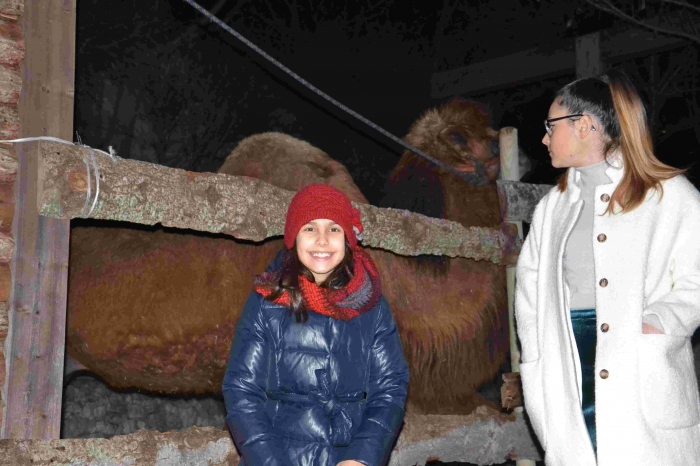 Clicca per vedere l'immagine alla massima grandezza