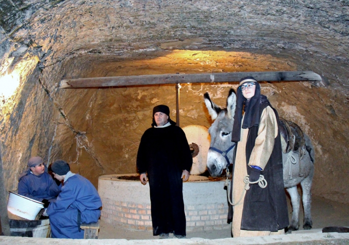 Clicca per vedere l'immagine alla massima grandezza