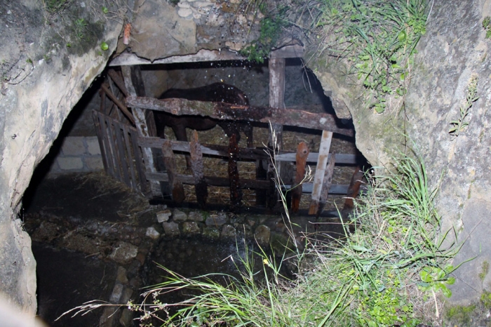 Clicca per vedere l'immagine alla massima grandezza