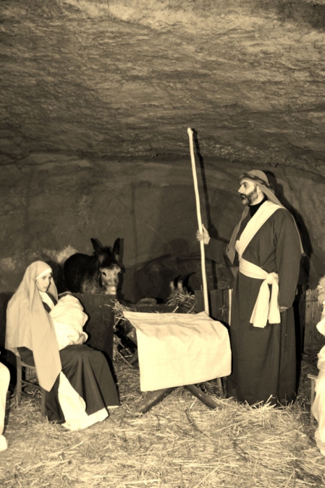 Clicca per vedere l'immagine alla massima grandezza