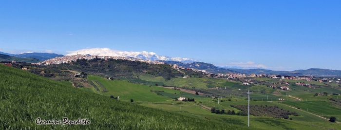 Clicca per vedere l'immagine alla massima grandezza