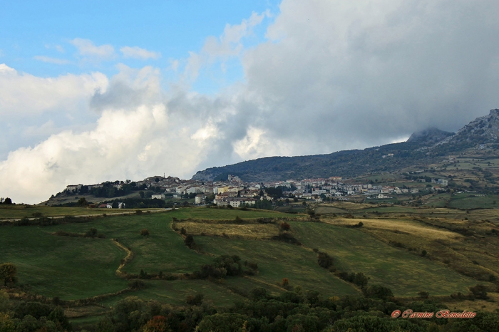 Clicca per vedere l'immagine alla massima grandezza